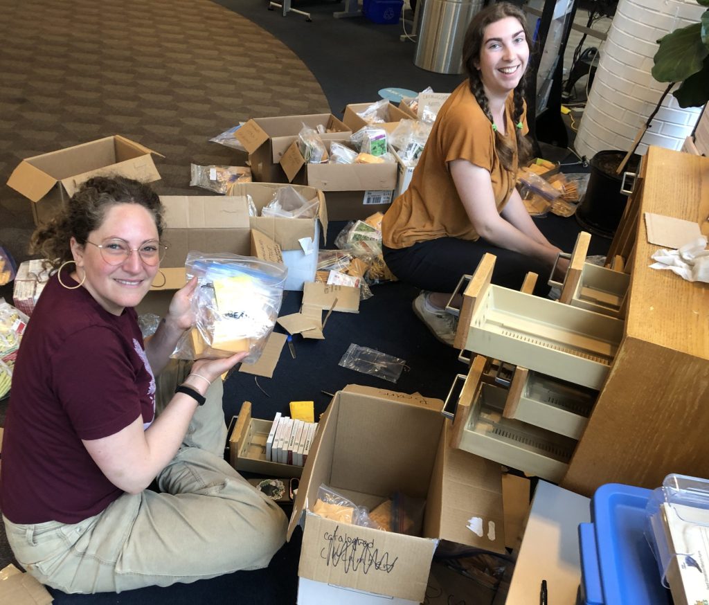 Lifecycles staff members organizing the seed library at one of the public library branch.