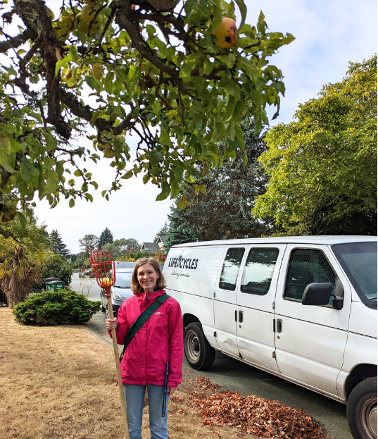 A volunteer standing in front of an apple tree with a pole picker in hand, with the LifeCycles van parked behind.