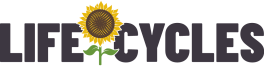 Lifecycles logo