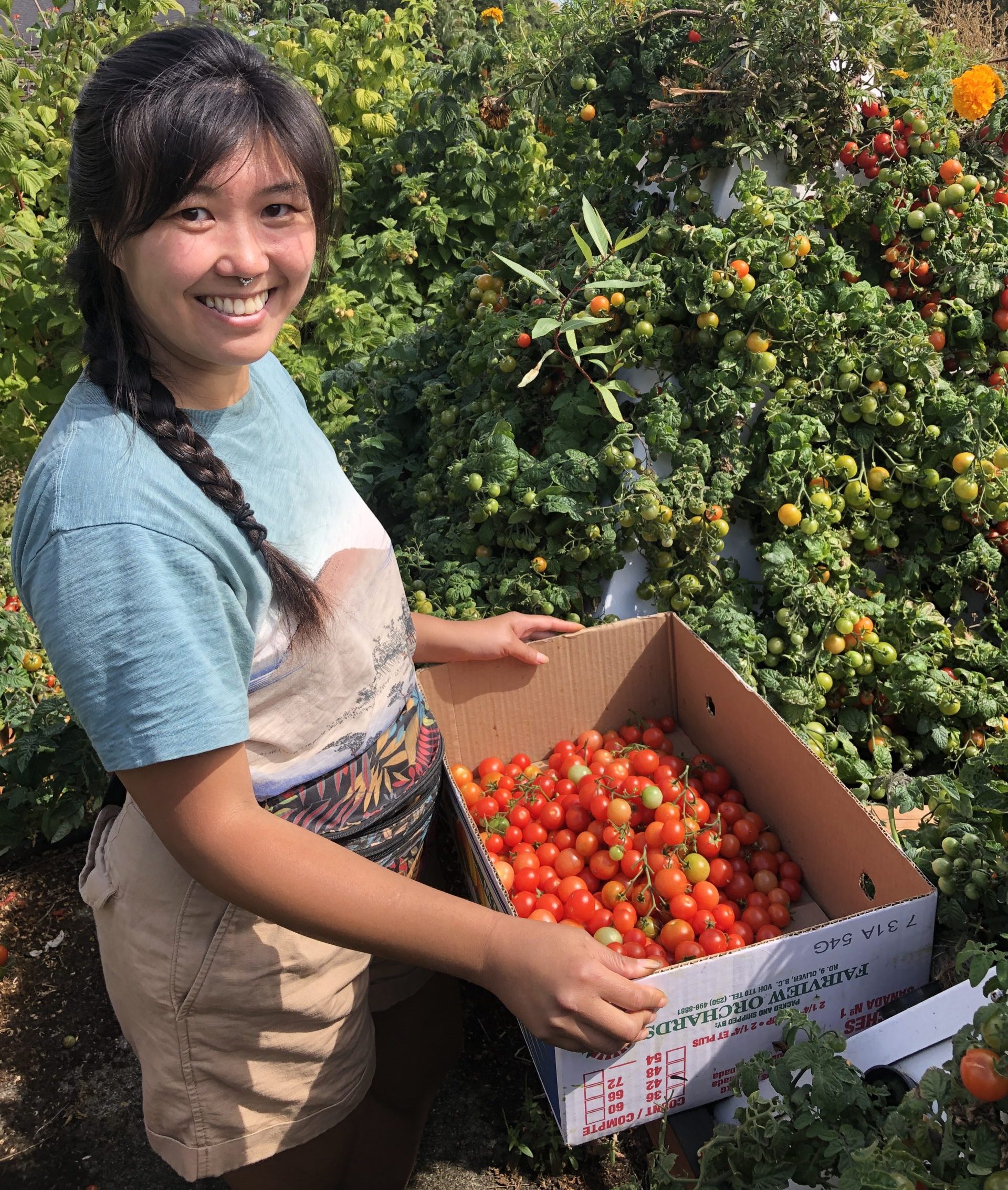 A volunteer holding cherry tomatoes gleaned from a local farm, saved from going to waste.