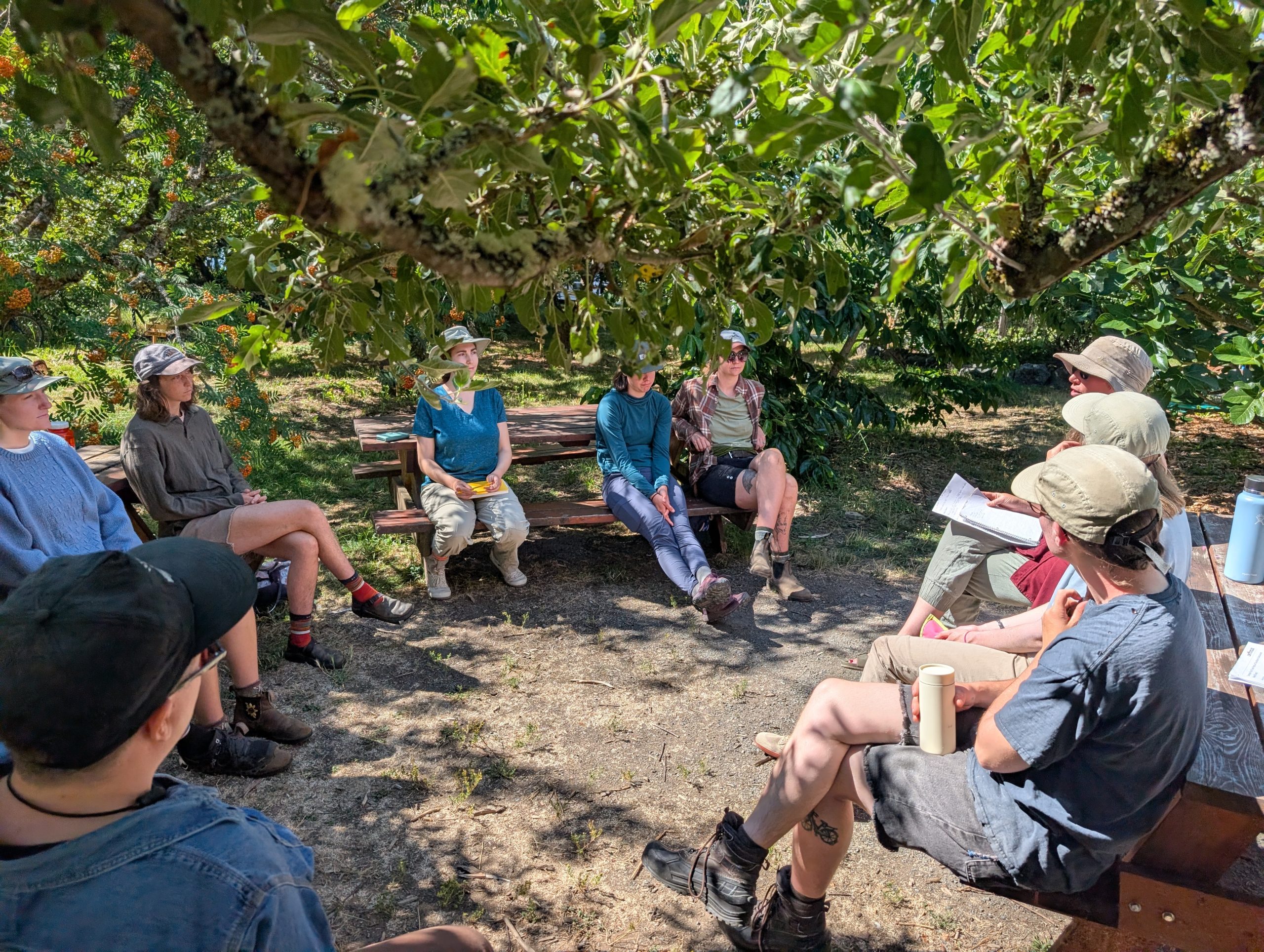 LifeCycles staff members having a meeting at Welland Community Orchard.