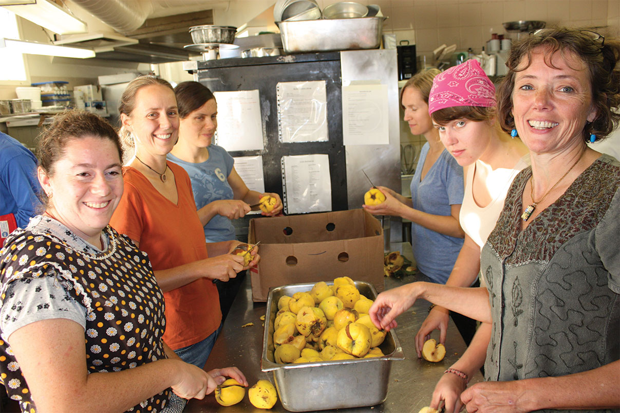 A group of LifeCycles volunteers gathered in a community kitchen, peeling and sorting yellow apples side by side.